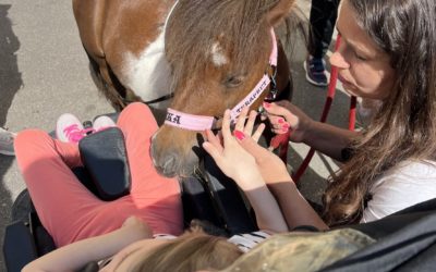 Čtyři kopýtka a čirá radost: terapeutický poník navštívil děti na příměstském táboře