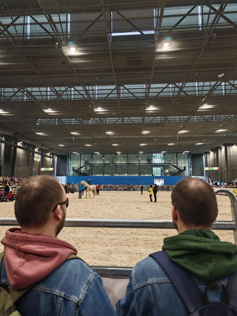 klienti sledují koně na výstavě Agrishow